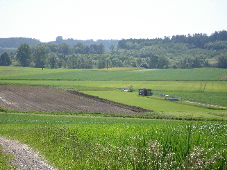 Blick auf Platz - 2 Blick auf Platz - 2